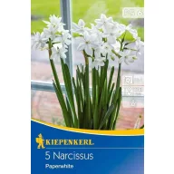 Bulbi de narcise Paperwhite 5 buc Kiepenkerl