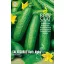 Castravete snack bio Beth Alpha Rein Seed aprox. 15 semințe