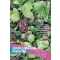 Salată asiatică ecologică Oriental Mix Rein Saat aprox. 4-5 m2