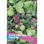 Salată asiatică ecologică Oriental Mix Rein Saat aprox. 4-5 m2