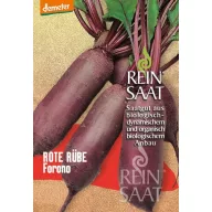   Sfeclă roșie organică Forono Rein Saat aproximativ 250 de semințe