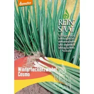   Ceapă pentru legat bio Winter Hedge Cosmo, sămânță pură, aprox. 1 g