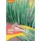 Ceapă pentru legat bio Winter Hedge Cosmo, sămânță pură, aprox. 1 g