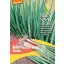 Ceapă pentru legat bio Winter Hedge Cosmo, sămânță pură, aprox. 1 g