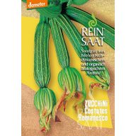 Dovlecel bio Costata Romanesco Rein Saat, aprox. 10 semințe