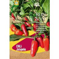 Ardei chili bio Ruben jalapeno semințe pure, aprox. 30 buc.