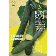 Castravete bio Shintokiwa Rein semințe aprox. 25 buc.