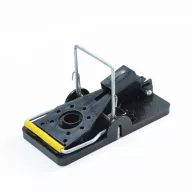 Siloz pentru șoareci cu cuie IT