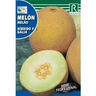 Cantalup Galia F1 (pulpă verde) Rocalba 0,5 g