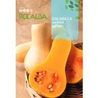 Dovleac Butternut (aromă de arahide) Rocalba 5g