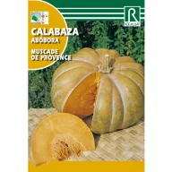 Dovleac Muscade de Provence Rocalba 5g