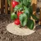 Mulci 100% natural Chanvrelin 500 natur cu diametrul de 40 cm