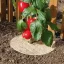 Mulci 100% natural Chanvrelin 500 natur cu diametrul de 40 cm