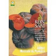   Dovleac organic Muscade de Provence Pure Seed aprox. 8 semințe