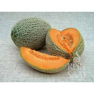   Cantalup organic Best Jumbo Pure Seed aproximativ 25 de semințe