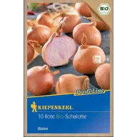 Bulbi de șalotă bio Biztro (lila) Kiepenkerl 10 buc.
