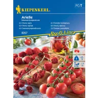 Tomate Cherry Arielle F1 Kiepenkerl aprox. 6 semințe