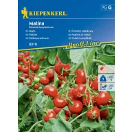 Roșii de salată Matina Kiepenkerl aprox. 35 semințe