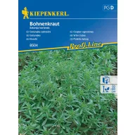 Peppermint Kiepenkel aprox. 200 de semințe