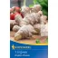 Ginger tuber Kiepenkerl 1 bucată