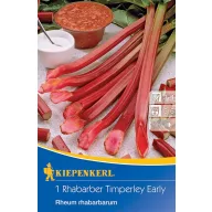 Rabarbăr Timperley Early Kiepenkerl 1 plantă