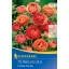 Bulbi Buttercup Picotee Orange Kiepenkerl 10 buc.