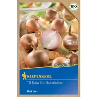   Ceapă pentru plantare bio șalotă Red Sun Kiepenkerl 10 buc