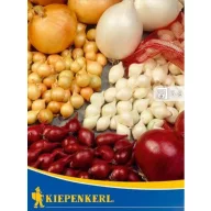   Bulbi de ceapă pentru plantat Trio (roșu+mov+alb) Kiepenkerl 50 buc