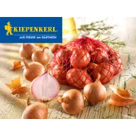 Dughagyma eșalotă Red Sun Kiepenkerl 500g