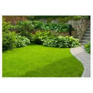   Semințe pentru gazon Zöldike amestec general Agro-Largo 1 kg