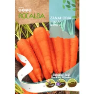 Bandă de semințe morcov Nantesa2 Rocalba 480 semințe 5 m