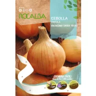 Ceapă Valencia Tardia Recas Rocalba 200 semințe 5m