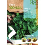   Bandă de semințe arpagic Gigante de Italia Rocalba 350 boabe 5 m