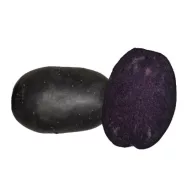   Tuberculi de cartofi de sămânță violet "Bleuet" 25-35 mm 50 buc.