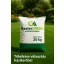 Îngrășământ Master Green High N (25-5-10+2MgO+TE) 20 kg