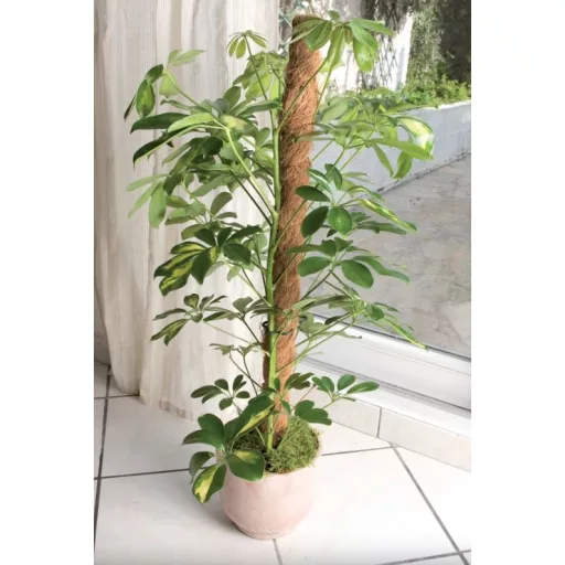 Suport din cocos COCO Ø 45 mm 150 cm
