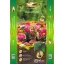 Sol pentru ghiveci General Dolce Vital 40 l