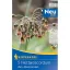 Bulb de flori usturoi sicilian cu miere (Nectaroscordum) 5 buc Kiepenkerl