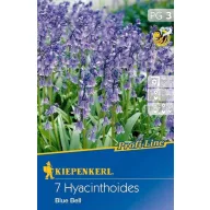   Bulbi de flori Blue Bell Blue Bell Blue Bell 7 buc Kiepenkerl