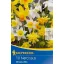 Bulb Narcisa Mix miniatural (mix de gradina de rock) Kiepenkerl 10 buc