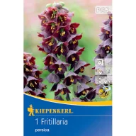 Bulbi crin persan tăiat Kiepenkerl 1 buc