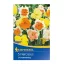 Bulb Narcisă orhidee amestec de flori Kiepenkerl 5 buc