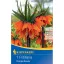 Bulb de flori Fritillaria (Coroana împăratului) Ornage beauty Kiepenkerl 1 buc