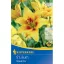 Bulbi de flori crin asiatic Grand Cru Kiepenkerl 2 buc