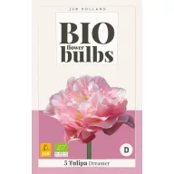 Bulb de flori BIO Tulip Dreamer 5 bucăți JUB