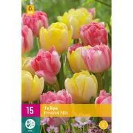 Bulb de flori Lalea Foxtrot Mix 15 buc JUB