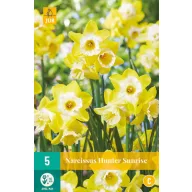 Bulb Narcisa Hunter Sunrise 5 buc JUB
