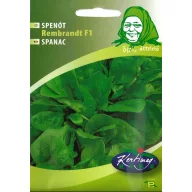 Spanac Rembrandt F1 3g