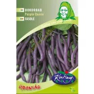 Fasole Bokorn păstăi violet Purple Queen 50 g