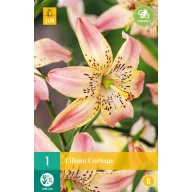 Floare Bulb Lily Corsaj 1 bucată JUB